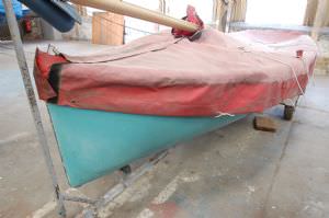 Albacore